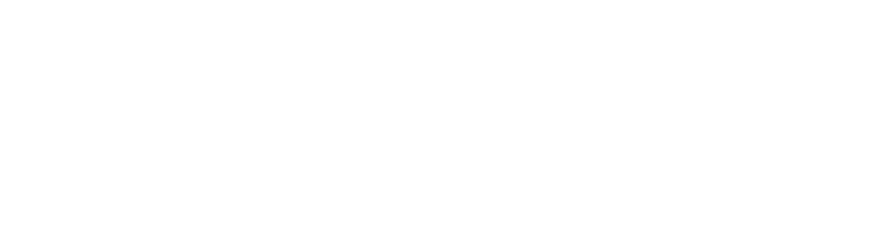 Global Security Initiative Logo